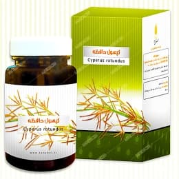 کپسول حافظه