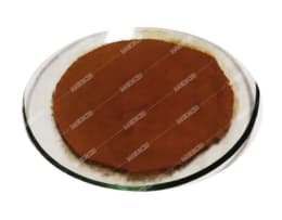 عصاره پودری گانودرما