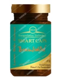 برین لید سول