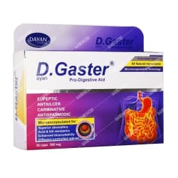 دایان گاستر