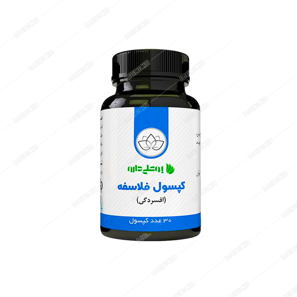 كپسول فلاسفه (افسردگی)